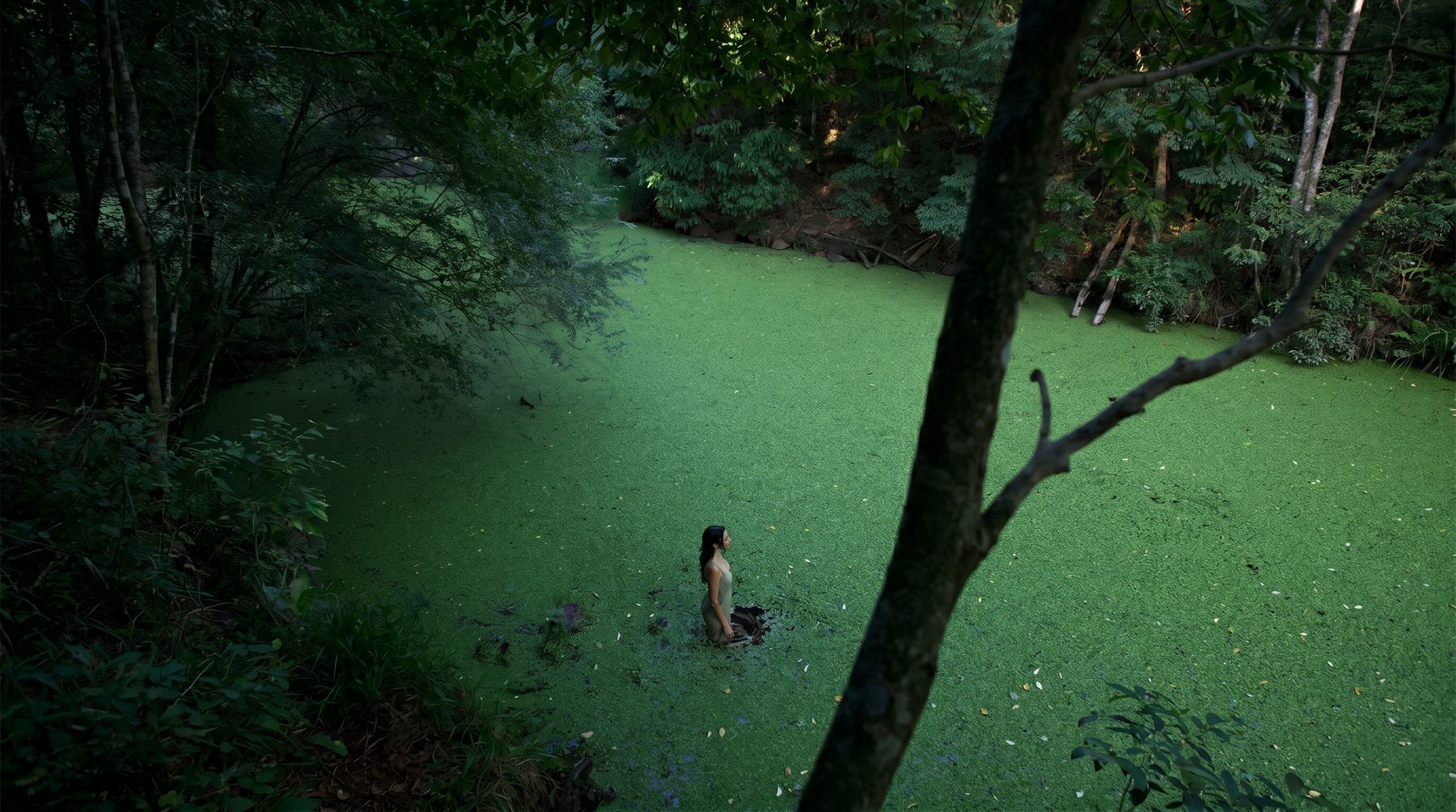 A girl standing waist deep in a pond covered in duckweed